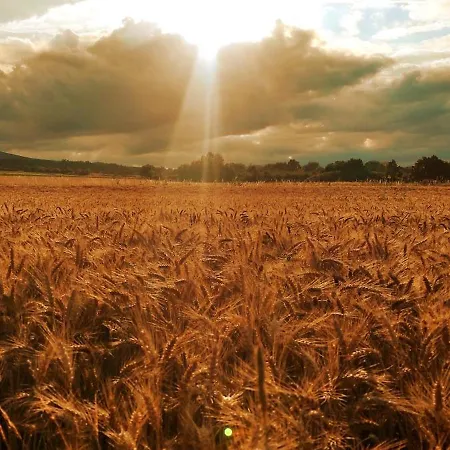 Ziemia Klodzka Apartment *