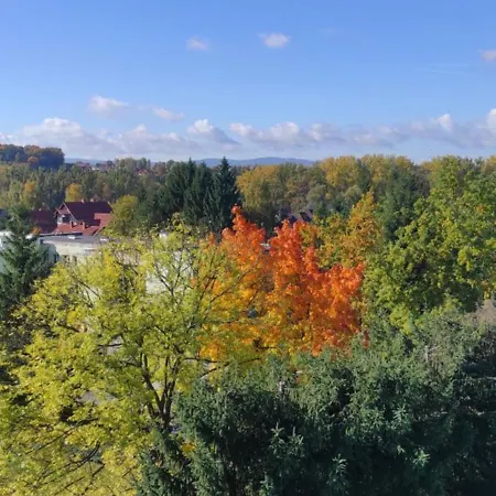 Ziemia Klodzka 公寓 克沃兹科