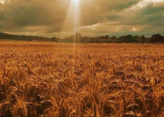 Ziemia Klodzka Apartment *